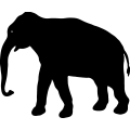 (image for) Elephant 19 =