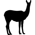 (image for) Llama =