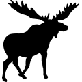 (image for) Moose 12 =