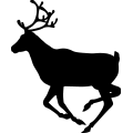 (image for) Reindeer 21 =