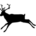 (image for) Reindeer 28 =