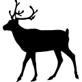 (image for) Reindeer 38 =