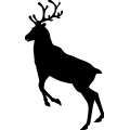 (image for) Reindeer 3 _
