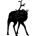 (image for) Reindeer 40 =