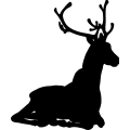 (image for) Reindeer 41 =