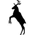 (image for) Reindeer 8 =