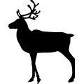 (image for) Reindeer 9 =