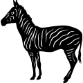 (image for) Zebra 1 =