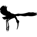 (image for) Stork 4 _