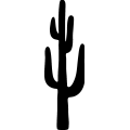 (image for) Cactus 045