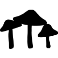 (image for) Mushroom 001 _