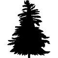 (image for) Tree 196 =