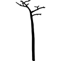 (image for) Tree 249 =