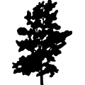 (image for) Tree 265 =