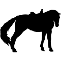 (image for) Horse Saddled 013 =