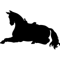 (image for) Horse Saddled 026 =