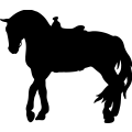(image for) Horse Saddled 027 =