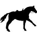 (image for) Horse Saddled 029 =