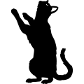 (image for) Black Cat 002 =