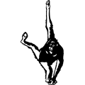 (image for) Orangutan =