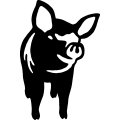 (image for) Pig 026 =