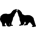 (image for) Polar Bear Pair =
