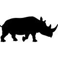 (image for) Rhinoceros 003 _