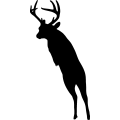 (image for) Buck Deer 003 =
