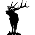 (image for) Bull Elk 012 =