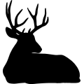 (image for) Mule Deer 006 =