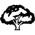 (image for) Oak Tree 1 =