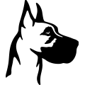 (image for) Great Dane Head 004 =