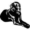 (image for) Labrador 005 =