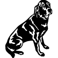 (image for) Labrador 007 =