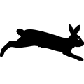 (image for) Rabbit Run 2 =