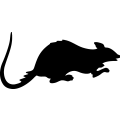 (image for) Rat 2 _