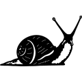 (image for) Snail ~