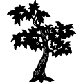 (image for) Tree Shape =