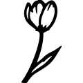 (image for) Tulip 005 =