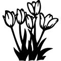 (image for) Tulips =