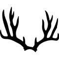 (image for) Deer Horns 298 _