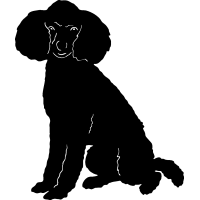 (image for) Poodle 9 =