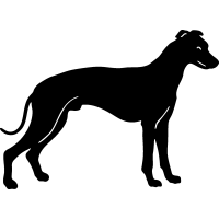 (image for) Whippet 2 =
