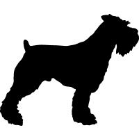 (image for) Terrier 3 _