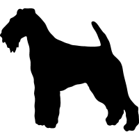 (image for) Welsh Terrier 2 _