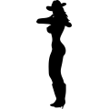(image for) Cowgirl 105 =