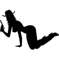 (image for) Cowgirl 113 =