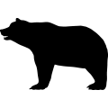 (image for) Bear 11 _