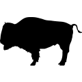 (image for) Bison 1a _