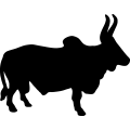 (image for) Cattle 12 =